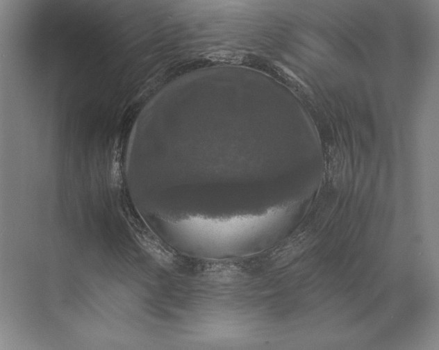 X0000074031154200609061134