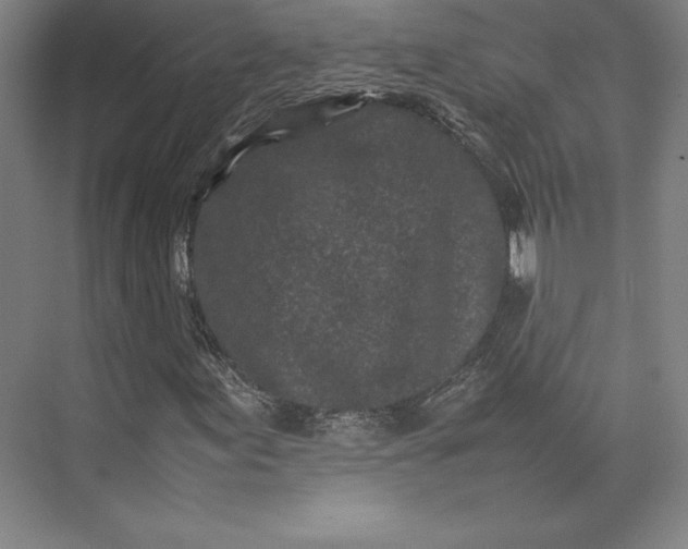 X0000074031155200609061134