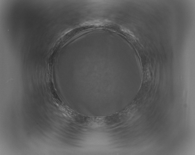 X0000074031158200609061134
