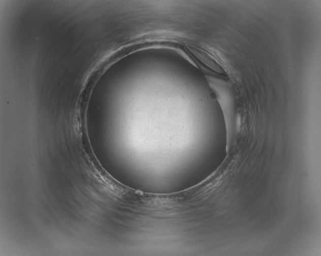 X0000074031164200609061134