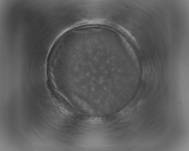 X0000074031174200609061134