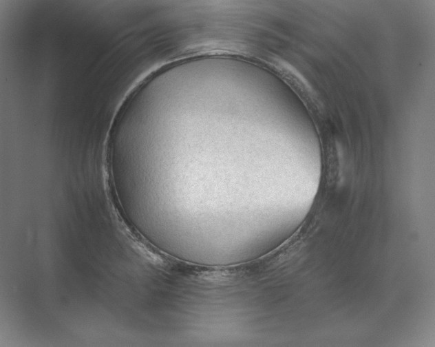 X0000074031182200609061134