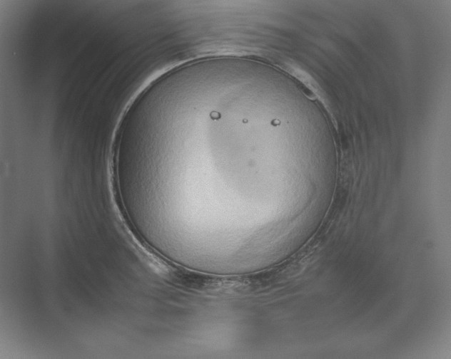 X0000074031187200609061134