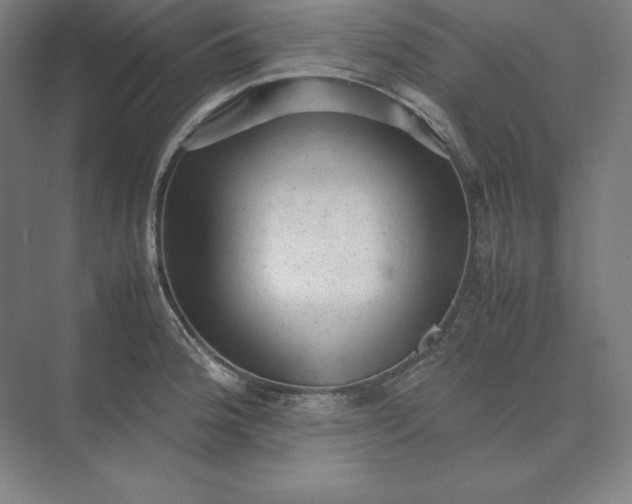 X0000074031188200609061134