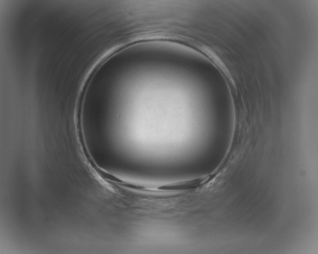 X0000074031197200609061133