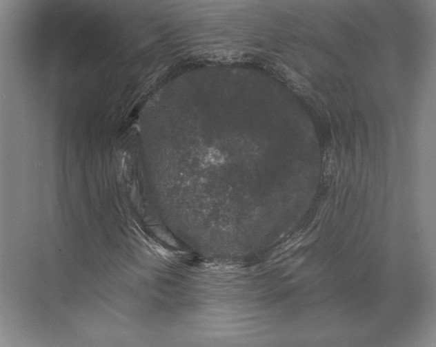 X0000074031202200609061133