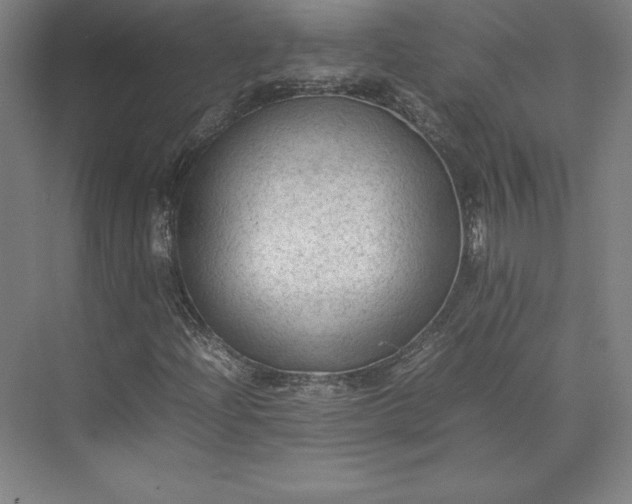 X0000074031204200609061133