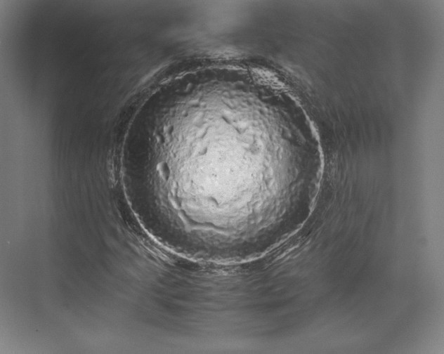 X0000074031205200609061133