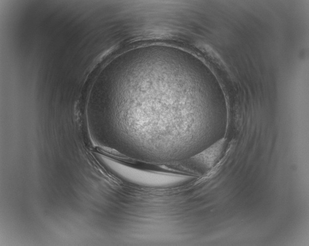 X0000074031210200609061133