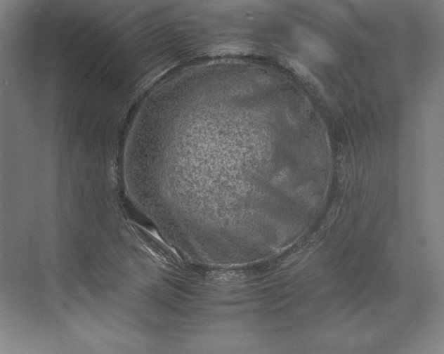 X0000074031217200609061133