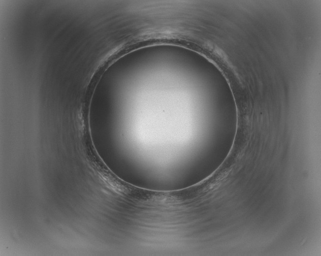 X0000074031218200609061133