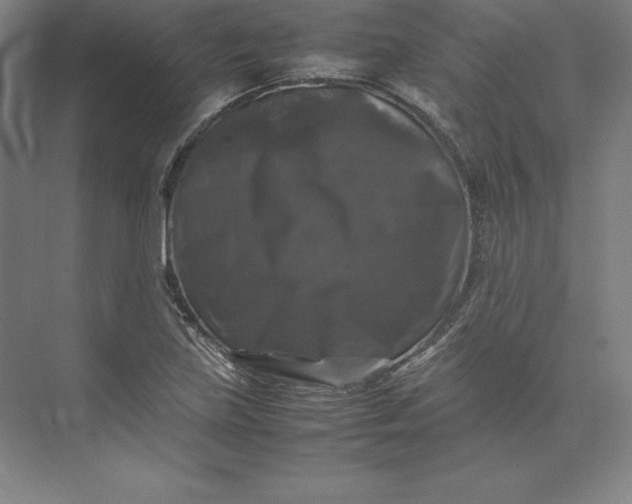 X0000074031219200609061133