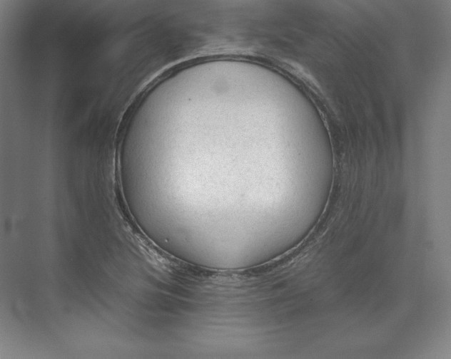 X0000074031220200609061133