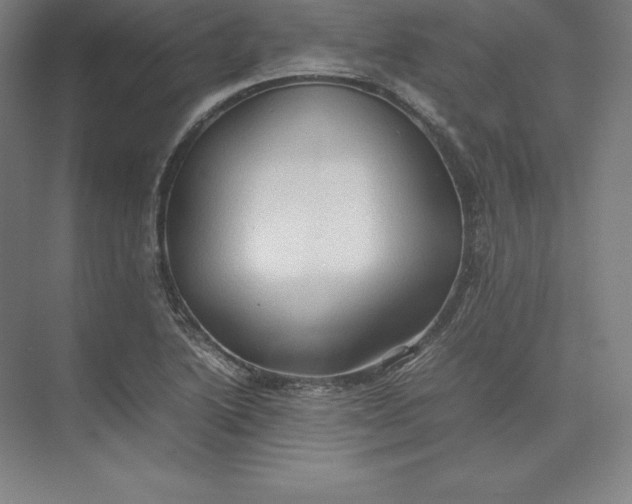 X0000074031222200609061133