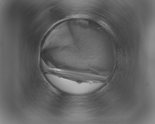 X0000074031228200609061133