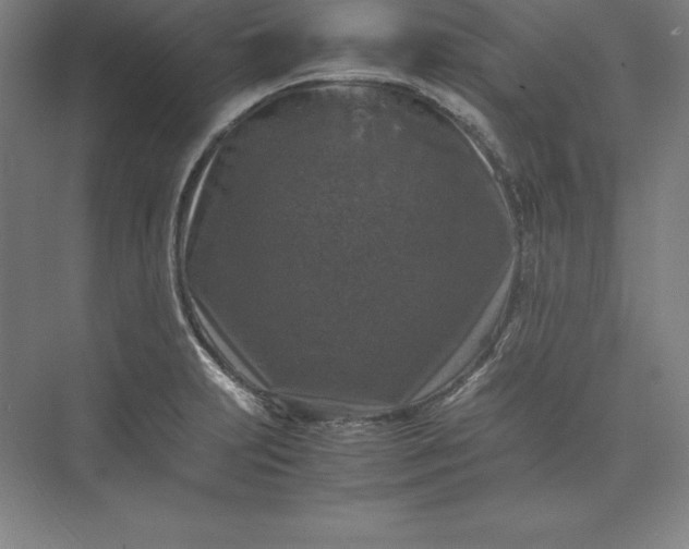 X0000074031231200609061133