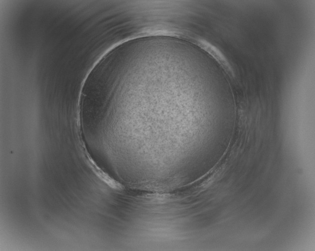 X0000074031236200609061133
