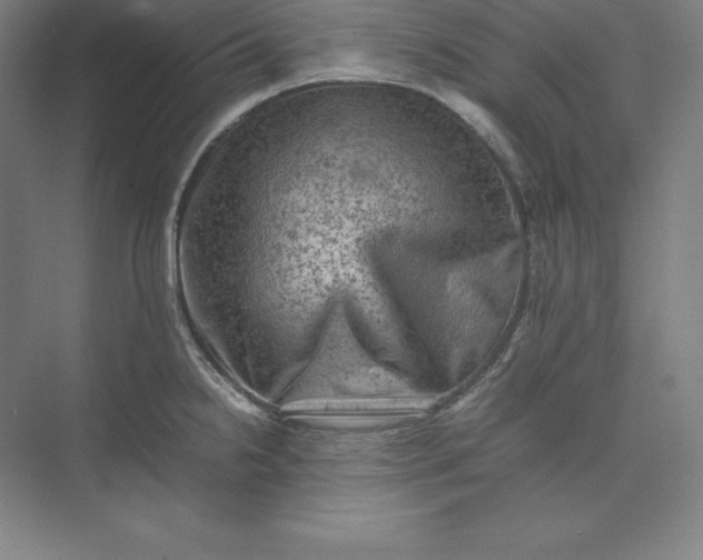 X0000074031238200609061133