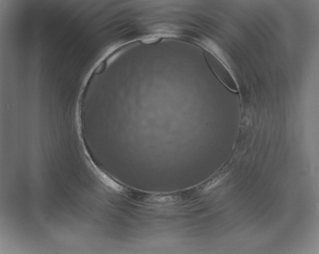 X0000074031243200609061133