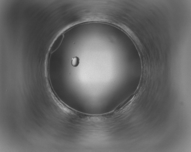 X0000074031246200609061133