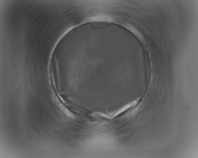 X0000074031248200609061133