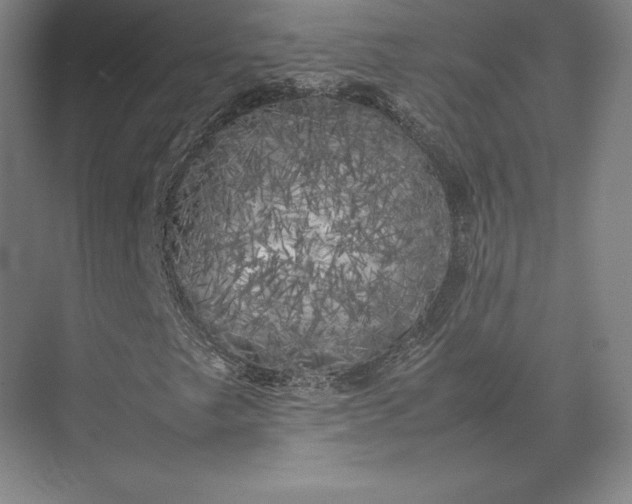 X0000074031249200609061132