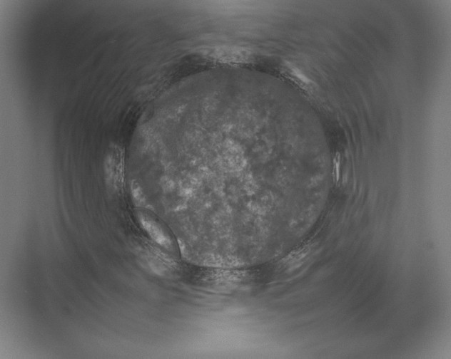 X0000074031251200609061132