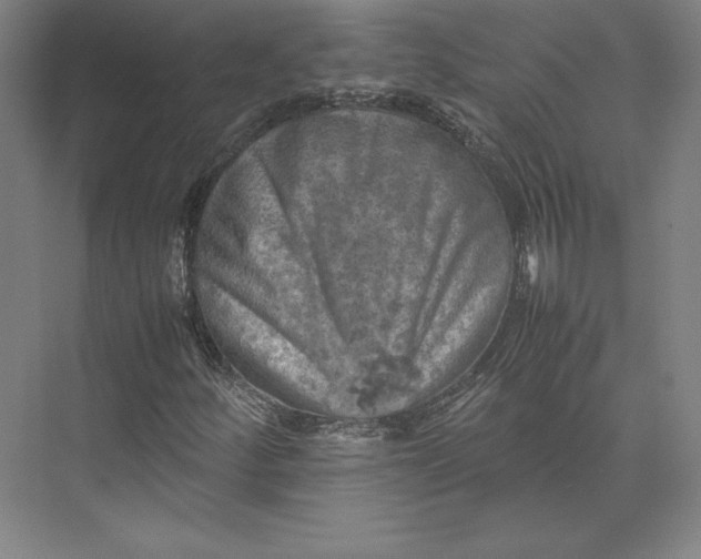 X0000074031252200609061132