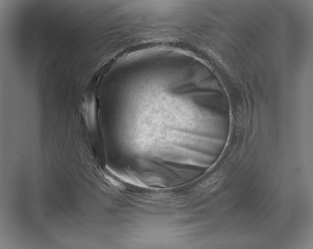 X0000074031257200609061132