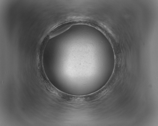 X0000074031261200609061132