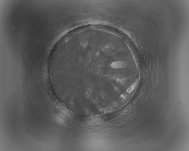 X0000074031263200609061132