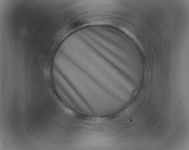 X0000074031273200609061132