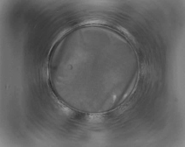 X0000074031274200609061132