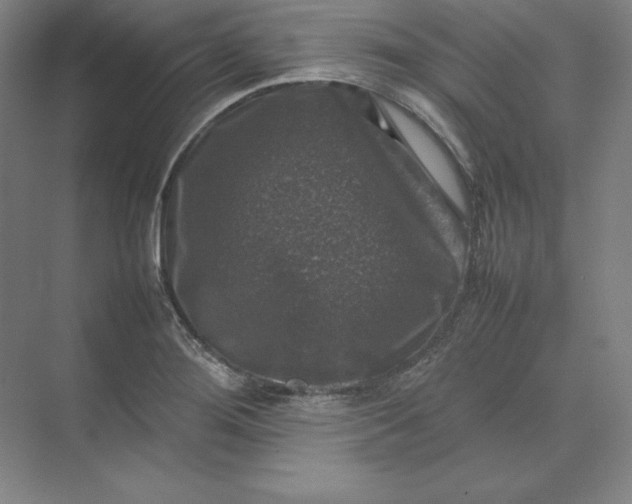 X0000074031276200609061132