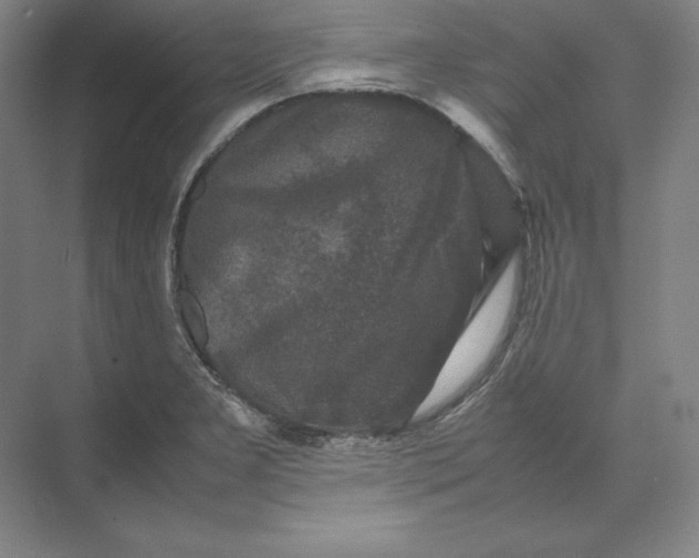X0000074031277200609061132