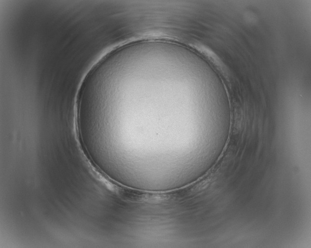 X0000074031286200609061132