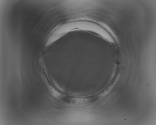 X0000074031289200609061132