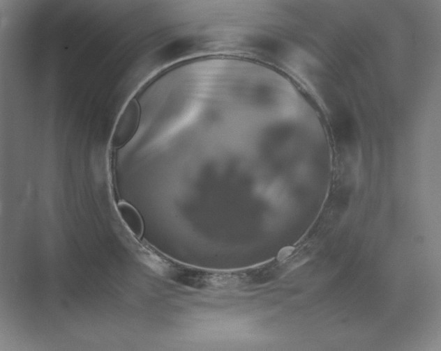 X0000074031291200609061132