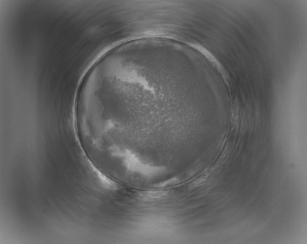 X0000074031294200609061132
