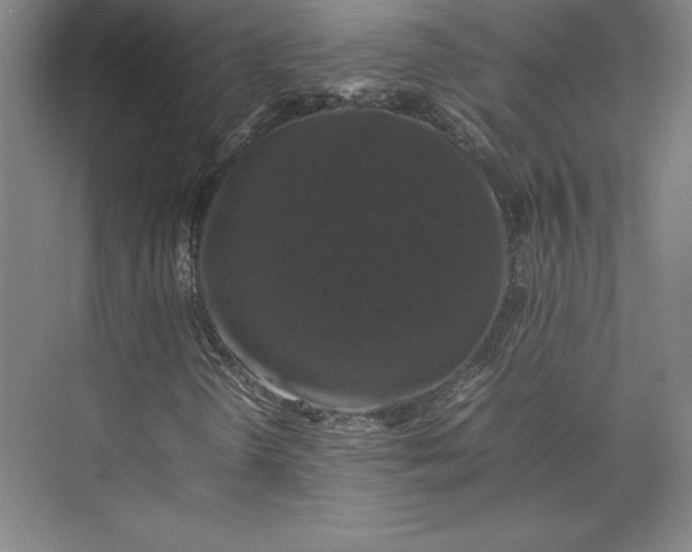 X0000074031298200609061131
