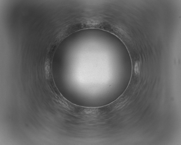 X0000074031299200609061131