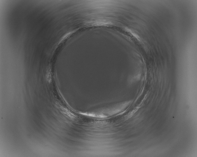 X0000074031306200609061131