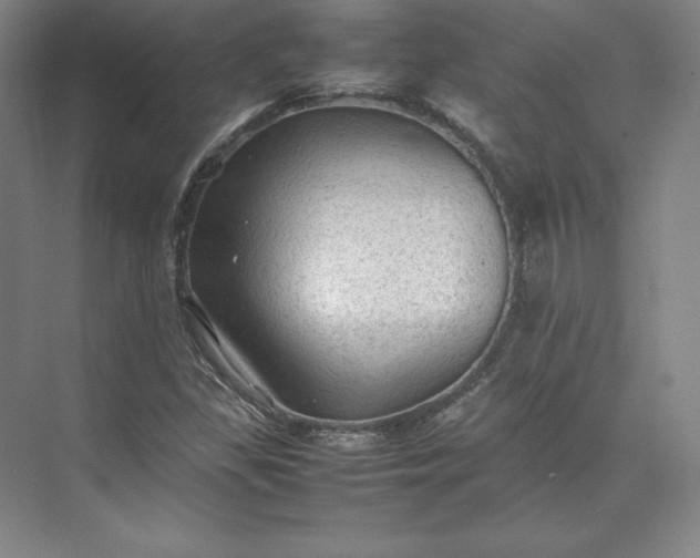 X0000074031309200609061131