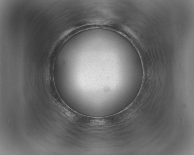 X0000074031315200609061131