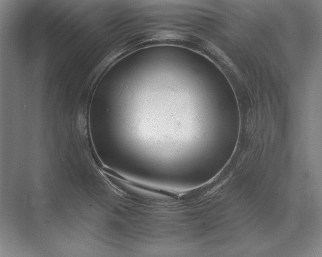 X0000074031321200609061131