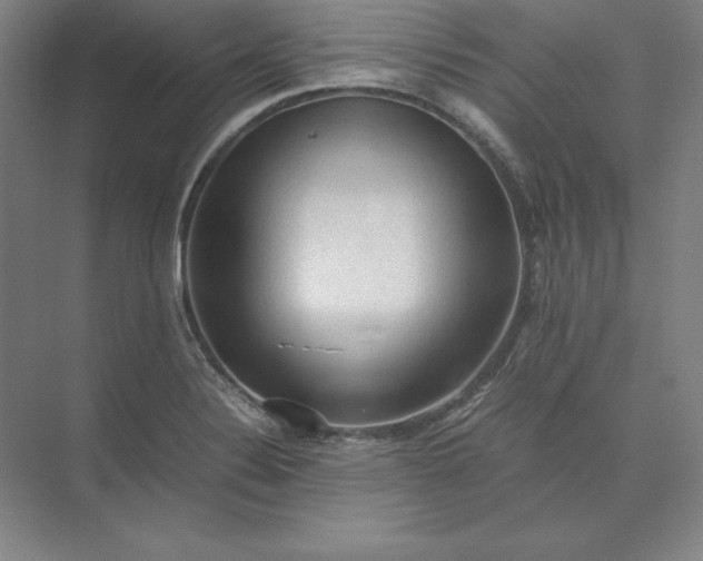 X0000074031324200609061131