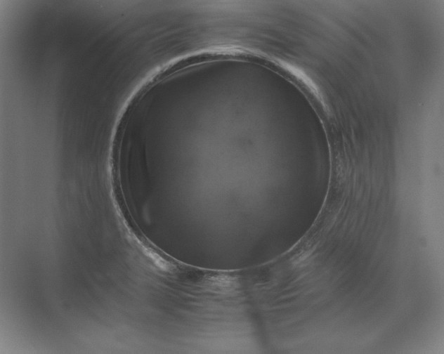 X0000074031327200609061131