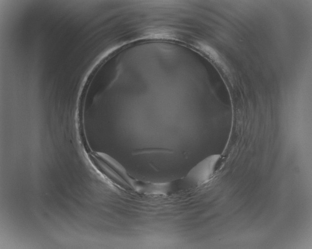 X0000074031331200609061131
