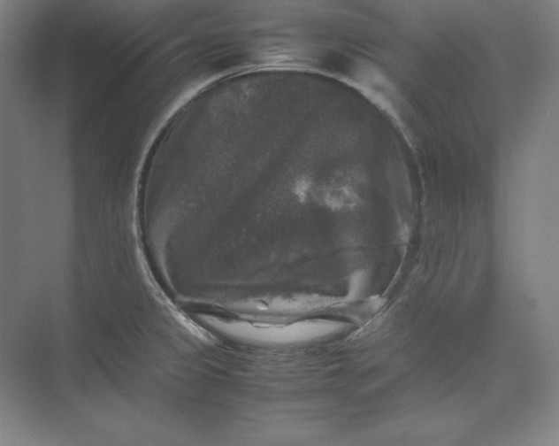 X0000074031333200609061131