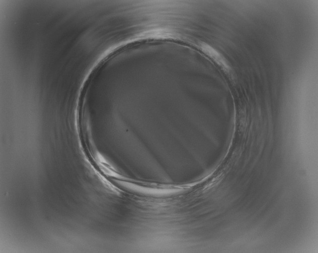 X0000074031334200609061132